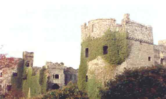 Carew Castle